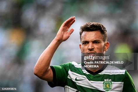 pote footballer|Pote Sporting Lisbon Midfielder, Profile & Stats